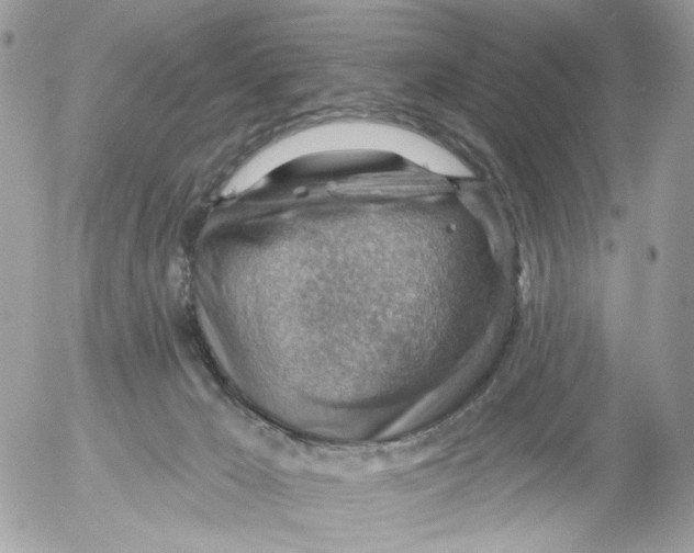 X0000052570029200507292018