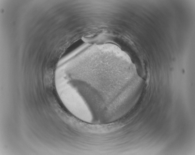 X0000052570030200507292018