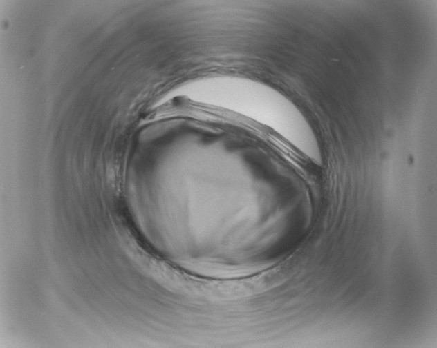 X0000052570031200507292018