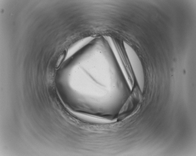 X0000052570033200507292018