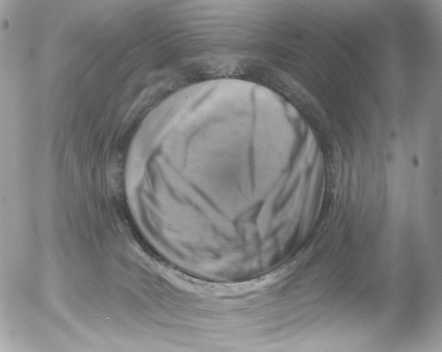 X0000052570035200507292018