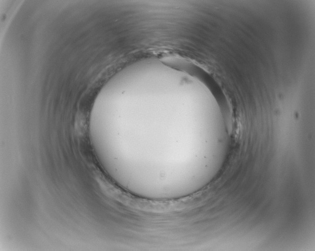 X0000052570037200507292018