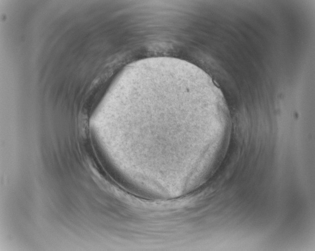 X0000052570038200507292018