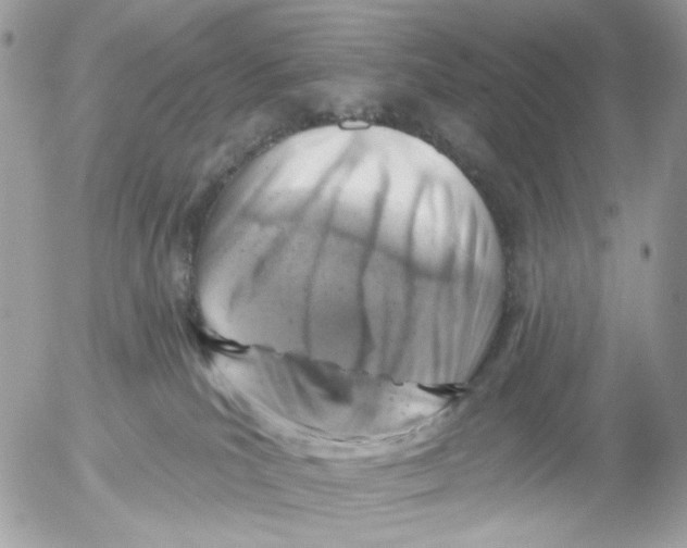 X0000052570039200507292018