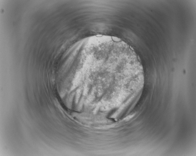 X0000052570040200507292018