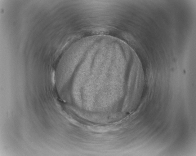 X0000052570041200507292018