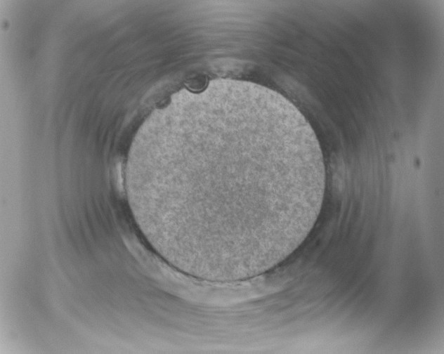 X0000052570042200507292018