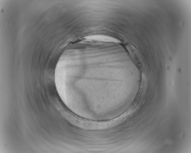 X0000052570048200507292017