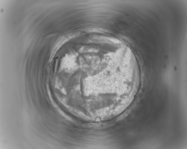 X0000052570049200507292017