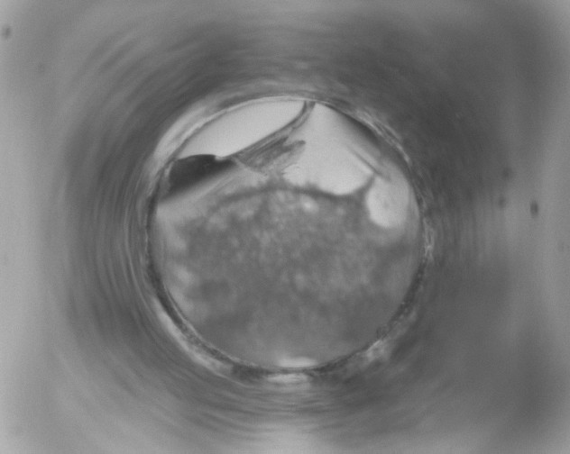 X0000052570053200507292017