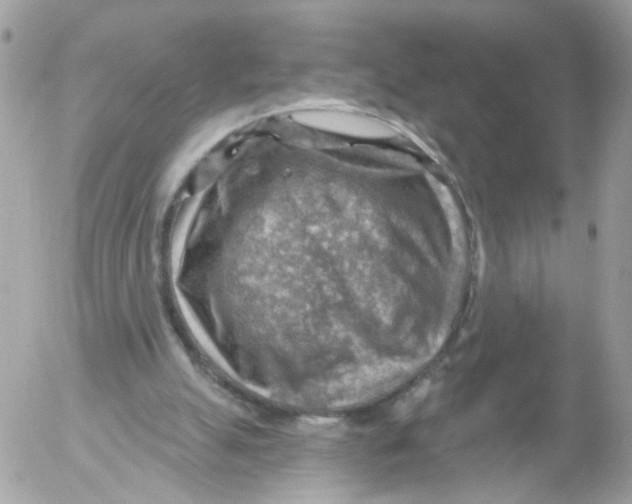 X0000052570055200507292017