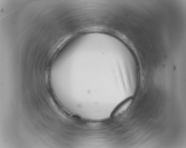 X0000052570057200507292017