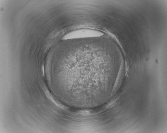 X0000052570061200507292017