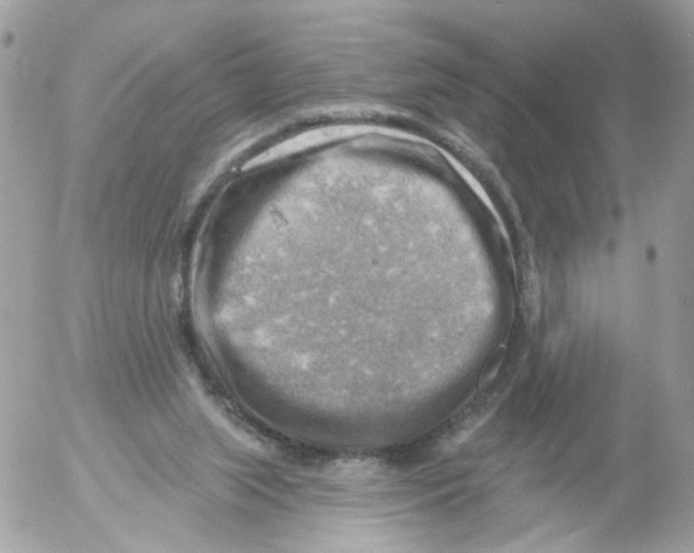 X0000052570063200507292017