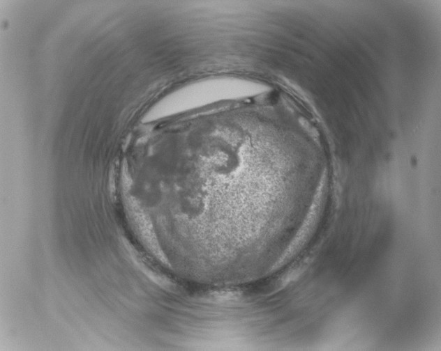 X0000052570065200507292017