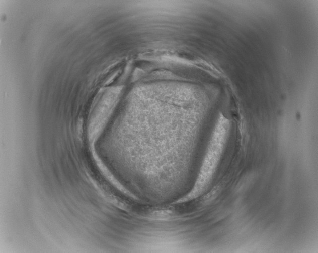 X0000052570066200507292017