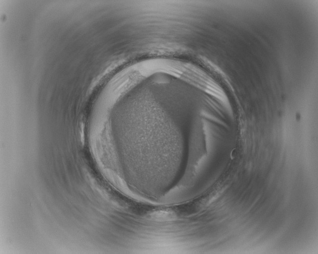 X0000052570067200507292017