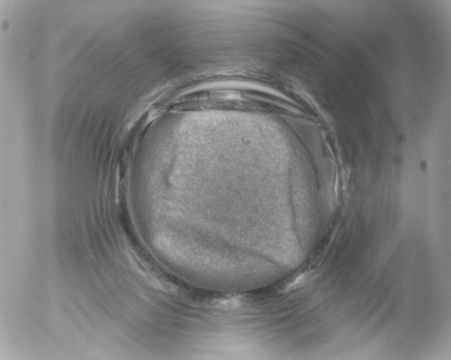 X0000052570068200507292017