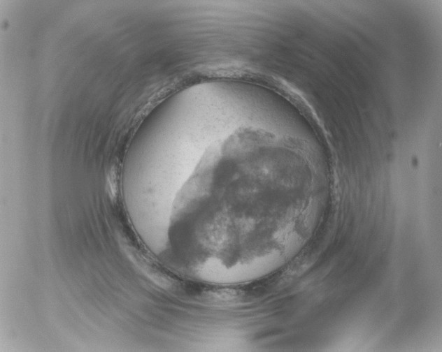 X0000052570069200507292017