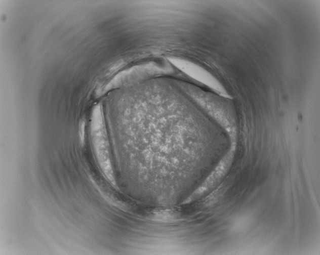 X0000052570070200507292017