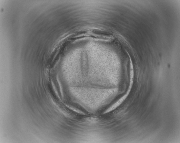 X0000052570071200507292017