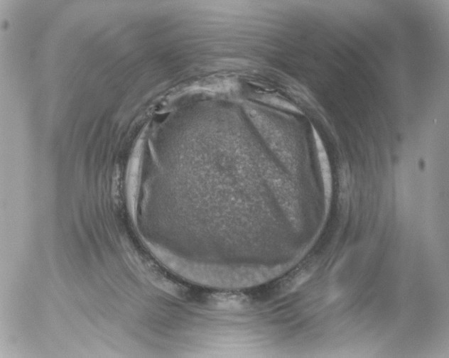 X0000052570073200507292017