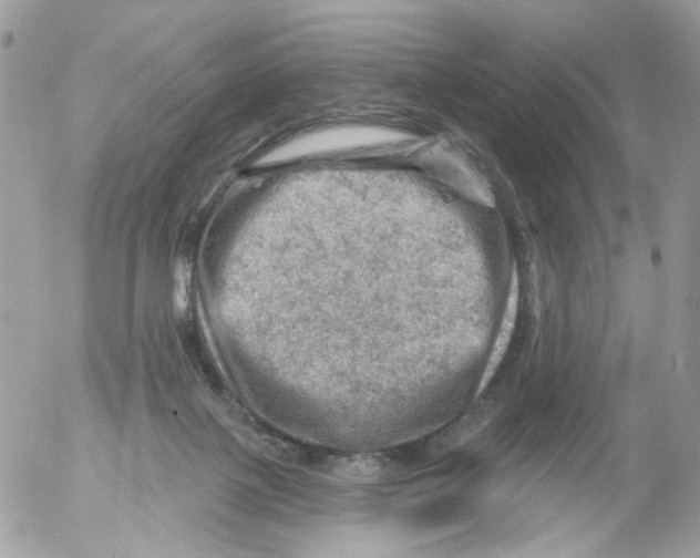 X0000052570075200507292017