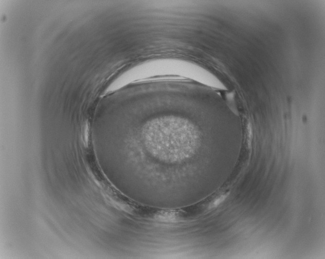 X0000052570076200507292017