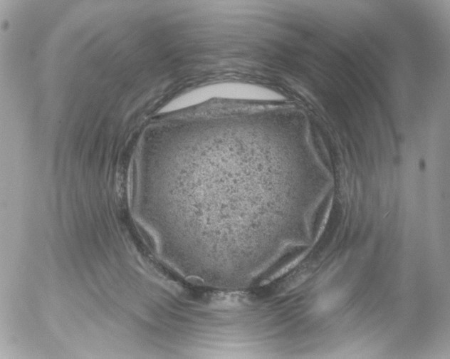 X0000052570077200507292017