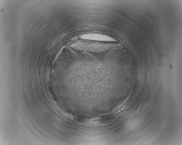 X0000052570078200507292017