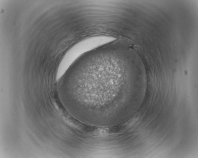 X0000052570080200507292017