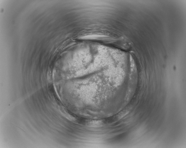 X0000052570081200507292017