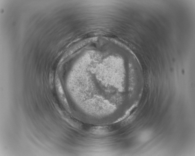 X0000052570082200507292017