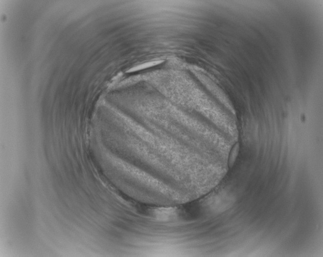 X0000052570085200507292017