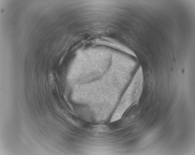 X0000052570087200507292017