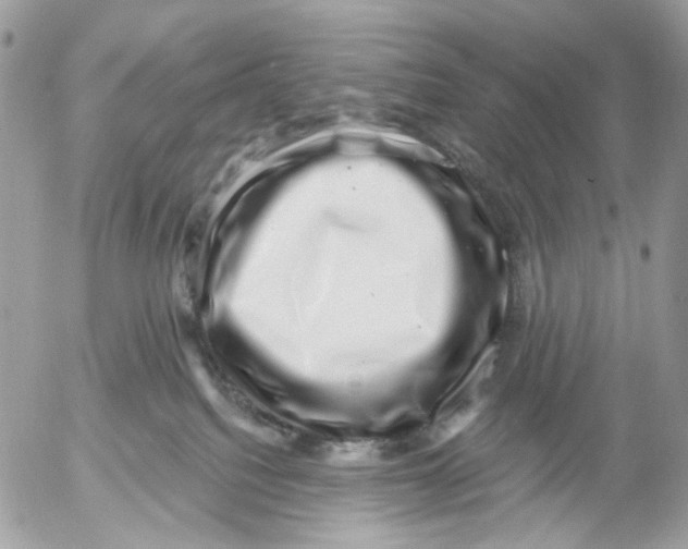 X0000052570088200507292017