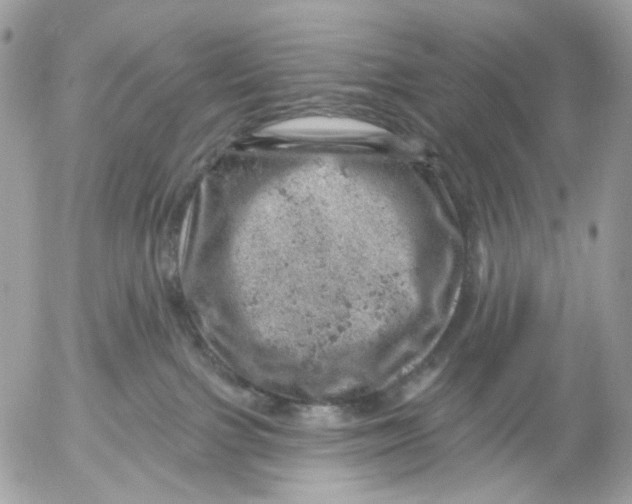 X0000052570091200507292017