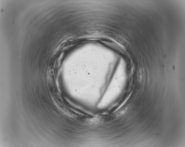 X0000052570092200507292017