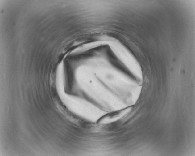 X0000052570096200507292017