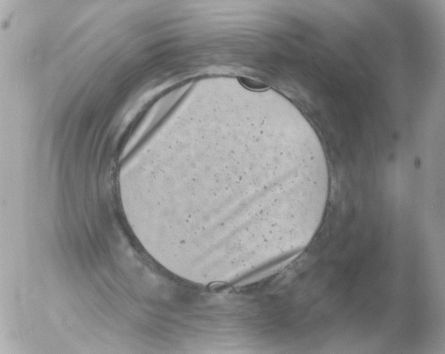 X0000052570098200507292017