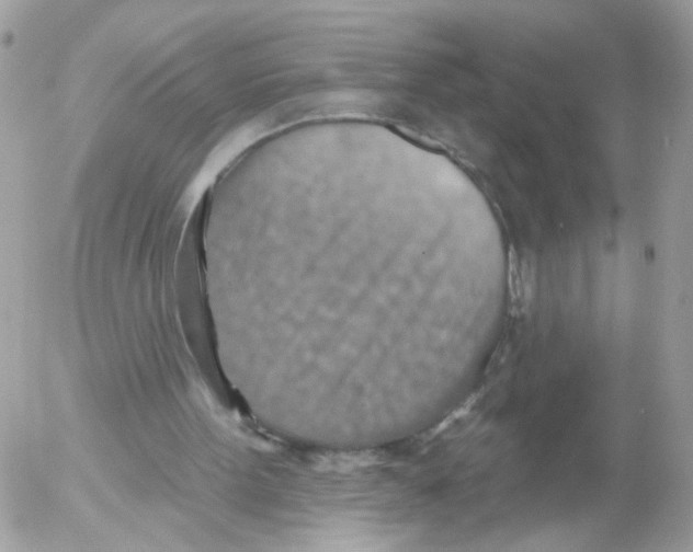 X0000052570099200507292017