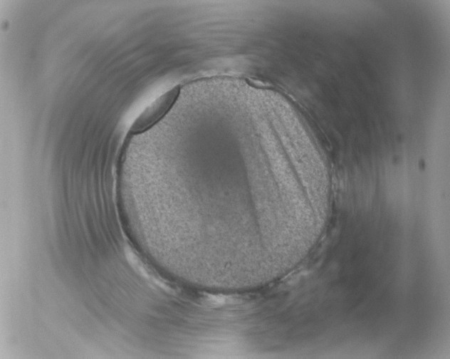 X0000052570100200507292017