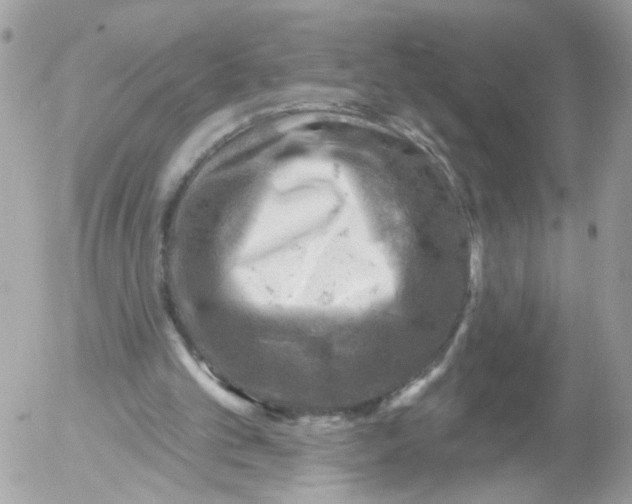 X0000052570101200507292017