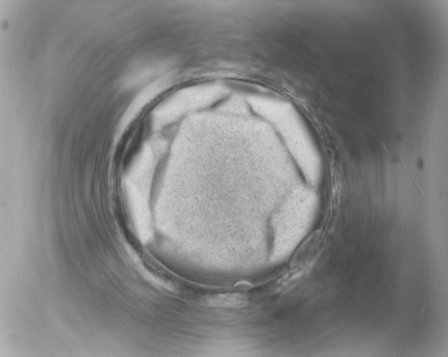 X0000052570102200507292017