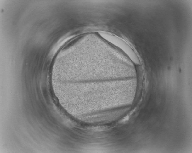 X0000052570103200507292017