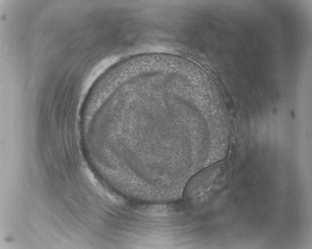 X0000052570104200507292017