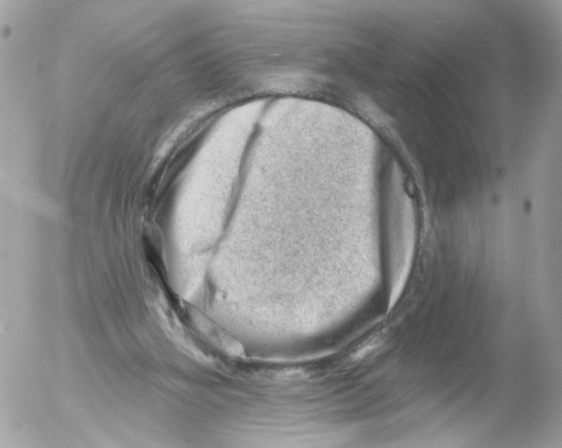 X0000052570106200507292016