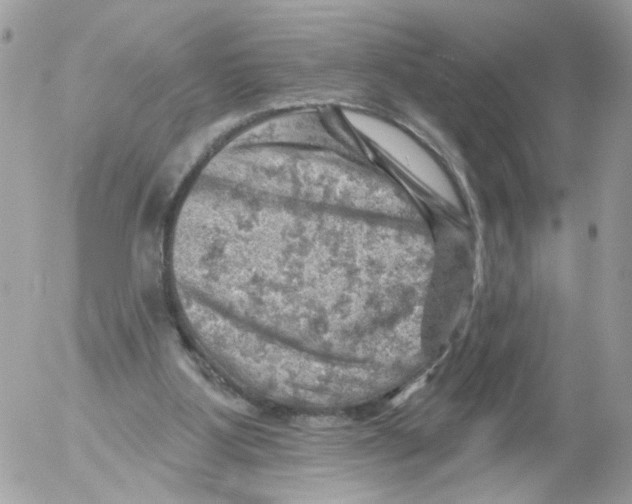 X0000052570107200507292016