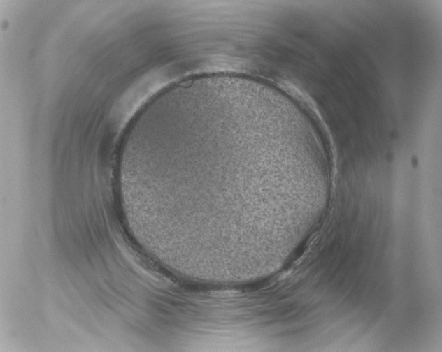 X0000052570108200507292016