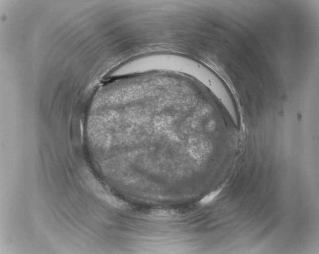 X0000052570109200507292016